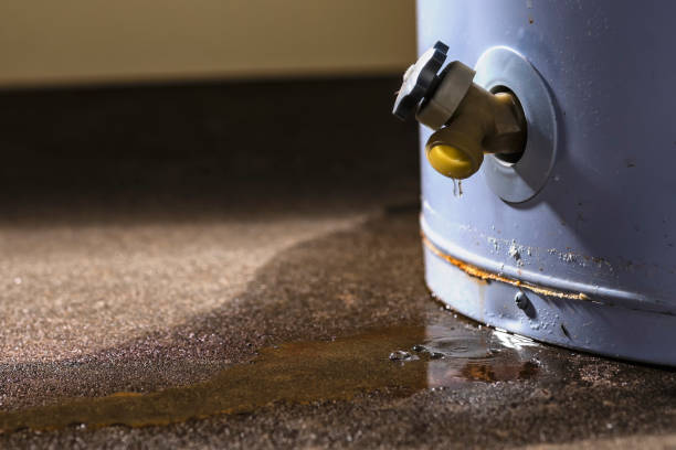 Best Sewage cleanup and water damage restoration  in St Augustine Shores, FL