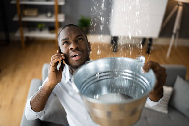Best Water damage restoration near me  in St Augustine Shores, FL