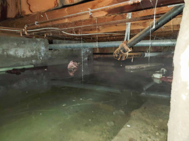 Water damage restoration process in St Augustine Shores, FL