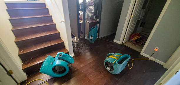 Best Mold removal after water damage  in St Augustine Shores, FL