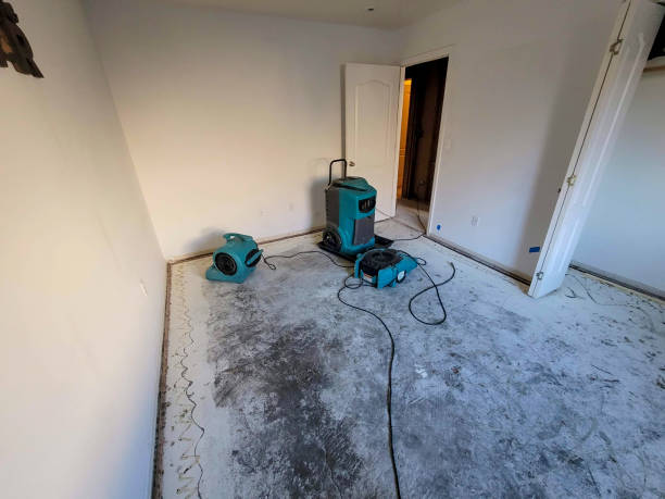 Best Fire Damage Restoration  in St Augustine Shores, FL