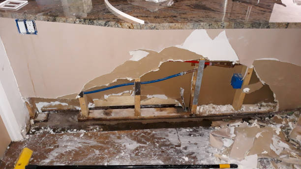 Best 24/7 water damage repair  in St Augustine Shores, FL