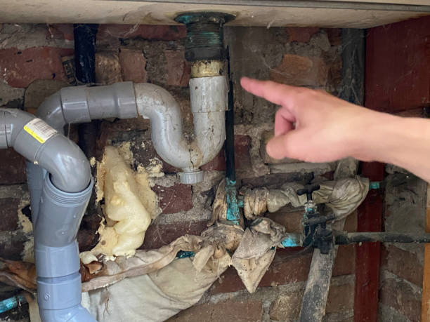 Best Ceiling water damage repair  in St Augustine Shores, FL