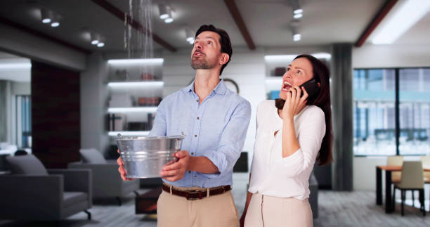 Best Carpet water damage restoration  in St Augustine Shores, FL