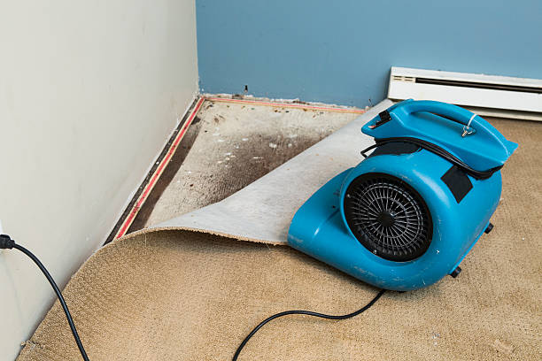 Water damage restoration mold remediation in St Augustine Shores, FL